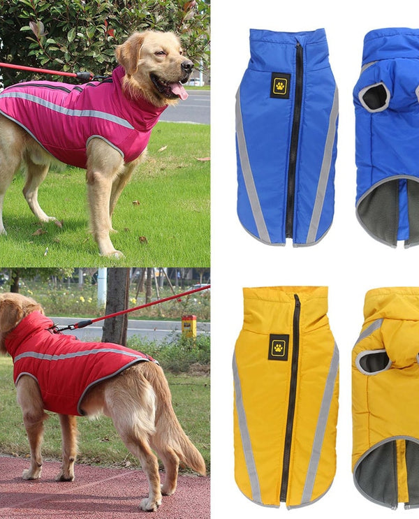 Waterproof Padded Fleece Jackets For Dogs - forpetneeds